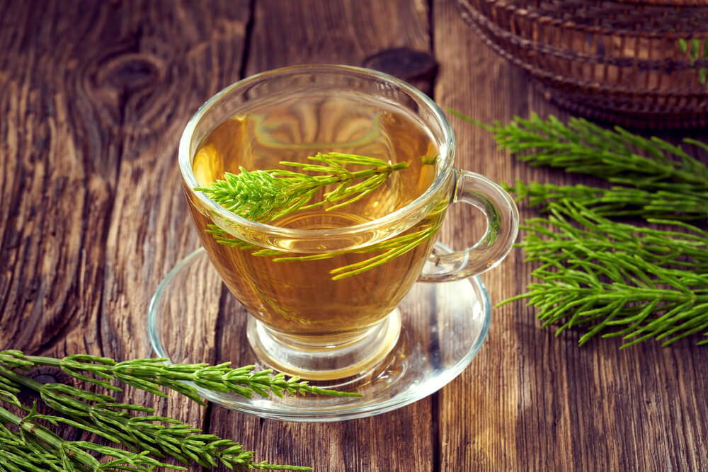 Chá de Cavalinha – Benefícios e Como Fazer →【Guia Completo!】